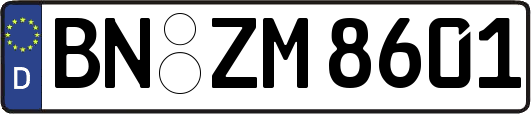 BN-ZM8601