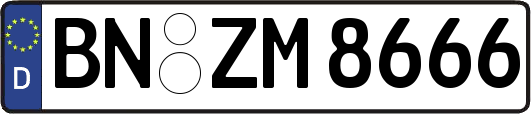 BN-ZM8666