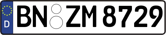 BN-ZM8729