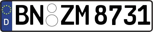 BN-ZM8731