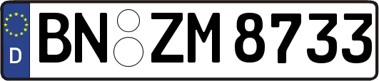 BN-ZM8733