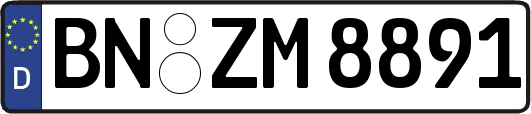 BN-ZM8891