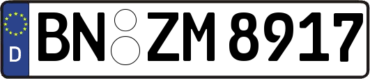 BN-ZM8917