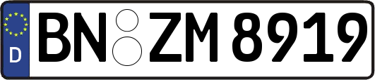 BN-ZM8919