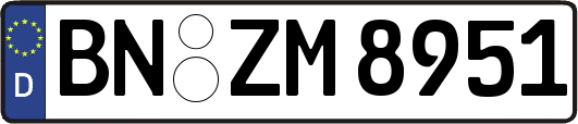 BN-ZM8951