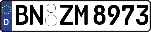 BN-ZM8973