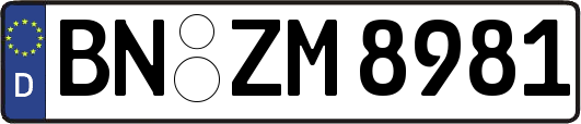 BN-ZM8981