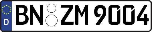 BN-ZM9004