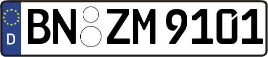 BN-ZM9101