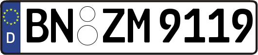 BN-ZM9119