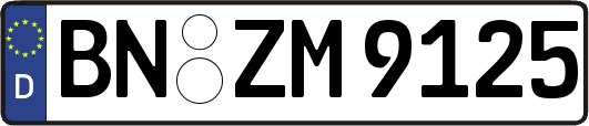 BN-ZM9125