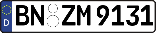 BN-ZM9131