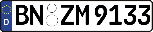 BN-ZM9133