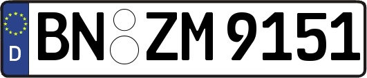 BN-ZM9151