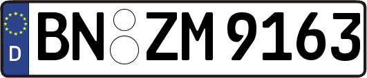 BN-ZM9163