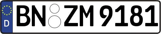 BN-ZM9181