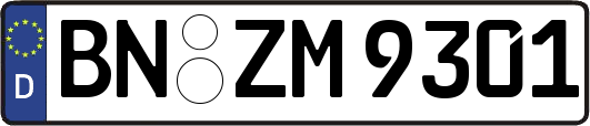 BN-ZM9301
