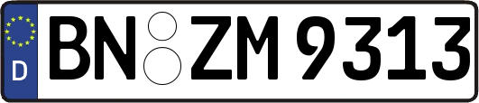 BN-ZM9313