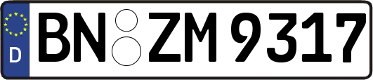BN-ZM9317