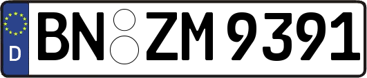 BN-ZM9391