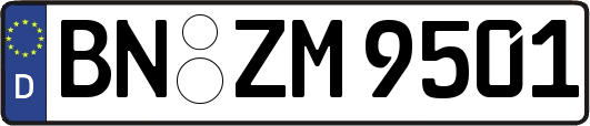 BN-ZM9501