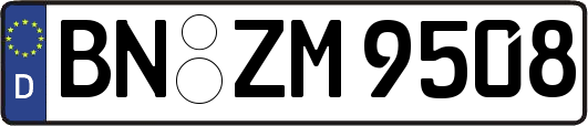 BN-ZM9508