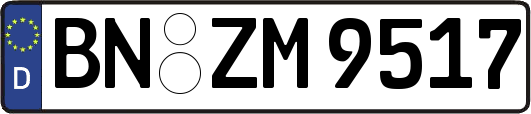 BN-ZM9517