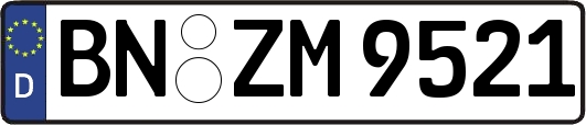 BN-ZM9521