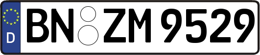 BN-ZM9529