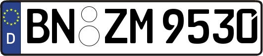 BN-ZM9530
