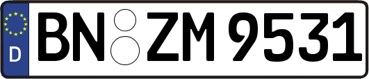 BN-ZM9531