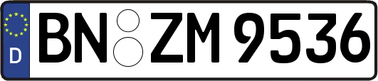 BN-ZM9536