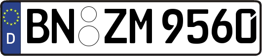 BN-ZM9560