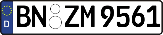BN-ZM9561
