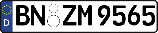 BN-ZM9565