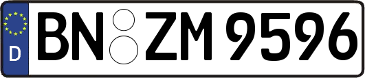 BN-ZM9596