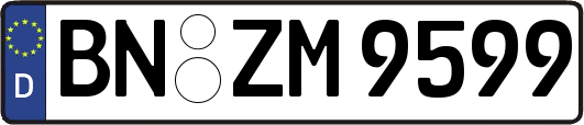 BN-ZM9599