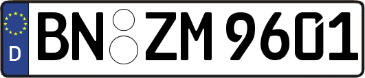 BN-ZM9601