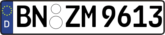 BN-ZM9613