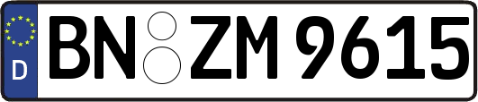 BN-ZM9615