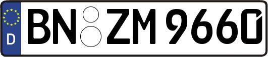 BN-ZM9660