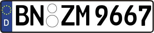 BN-ZM9667