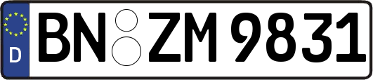 BN-ZM9831