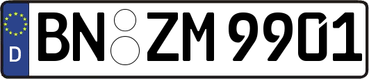 BN-ZM9901