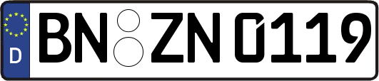 BN-ZN0119