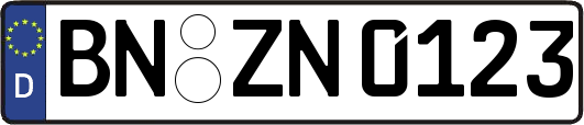 BN-ZN0123