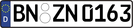 BN-ZN0163