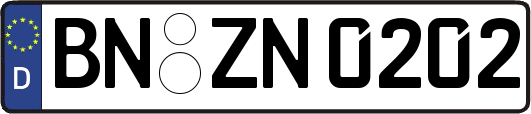 BN-ZN0202