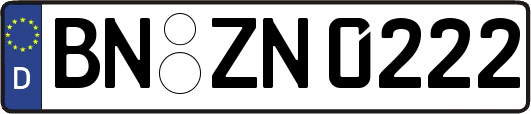 BN-ZN0222