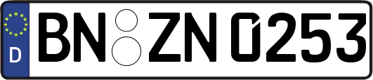 BN-ZN0253
